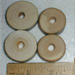 Drilled Apple Coins