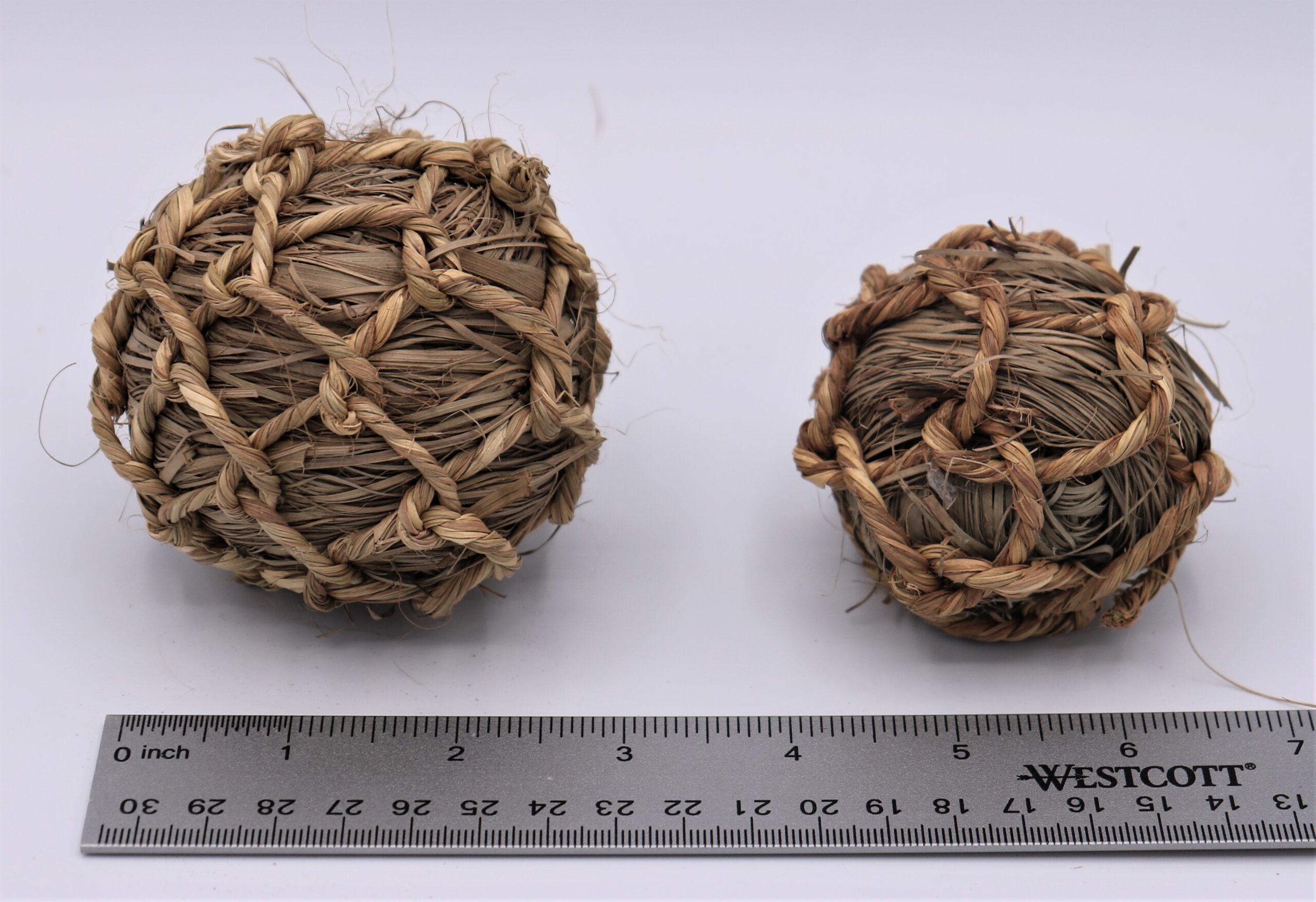 IMG_0687 (2) Seagrass Balls - Image 1