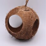 3 Hole Coconut