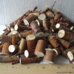 Weeping Willow Chunks