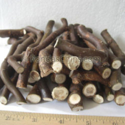 Corkscew Twigs
