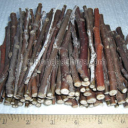 Cottonwood Twigs