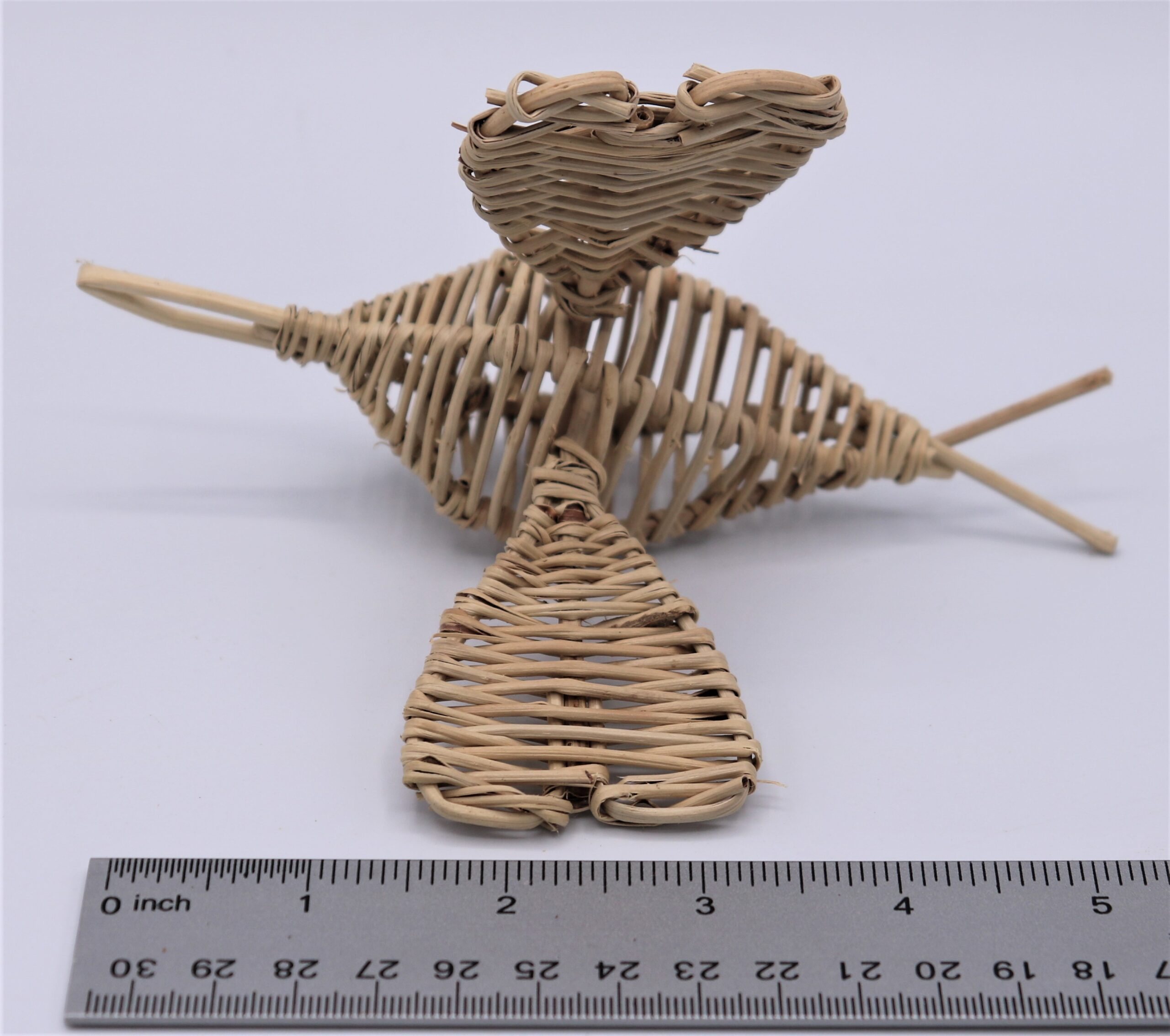 IMG_0653 (2) vine butterfly - Image 1